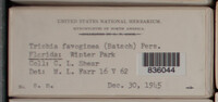 Image Associated With the Occurence